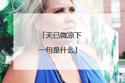 天已微凉下一句是什么