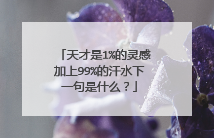 天才是1%的灵感加上99%的汗水下一句是什么？
