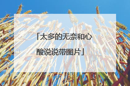 太多的无奈和心酸说说带图片