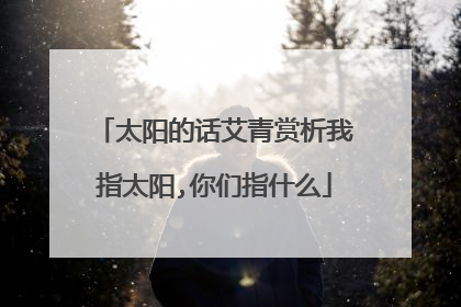 太阳的话艾青赏析我指太阳,你们指什么