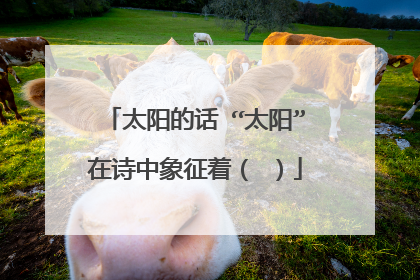 太阳的话 “太阳”在诗中象征着（ ）