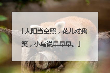 太阳当空照，花儿对我笑，小鸟说早早早。