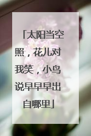 太阳当空照，花儿对我笑，小鸟说早早早出自哪里