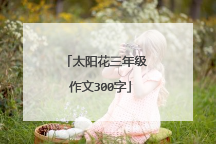 太阳花三年级作文300字