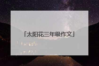 太阳花三年级作文