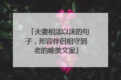 夫妻相濡以沫的句子，形容伴侣相守到老的唯美文案