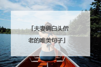 夫妻俩白头偕老的唯美句子