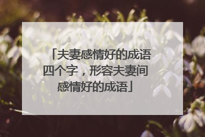 夫妻感情好的成语四个字,形容夫妻间感情好的成语