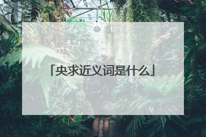 央求近义词是什么