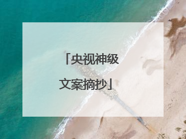 央视神级文案摘抄