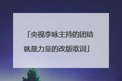 央视李咏主持的团结就是力量的改版歌词