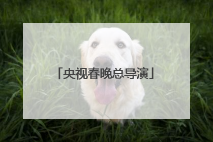 央视春晚总导演