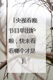 央视春晚节目单出炉啦，快来看看哪个才是