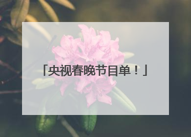 央视春晚节目单！