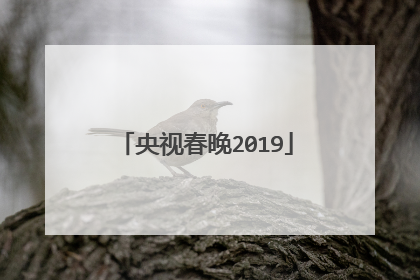 央视春晚2019