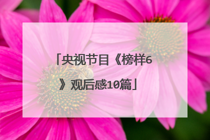 央视节目《榜样6》观后感10篇