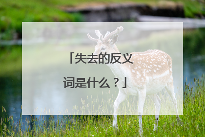 失去的反义词是什么?