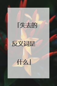 失去的反义词是什么