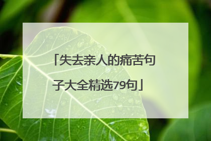 失去亲人的痛苦句子大全精选79句