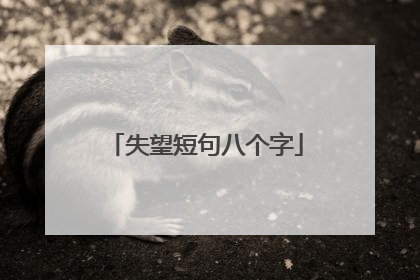 失望短句八个字