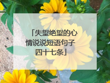 失望绝望的心情说说短语句子四十七条