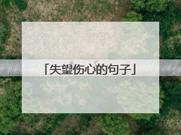 失望伤心的句子