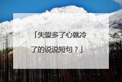 失望多了心就冷了的说说短句?