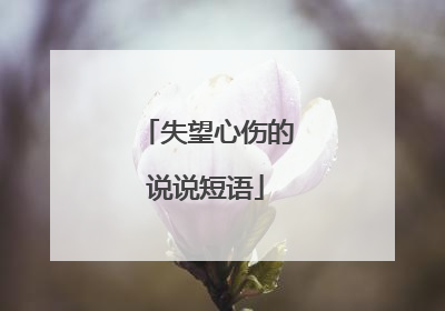 失望心伤的说说短语
