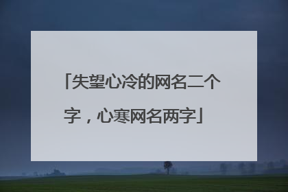 失望心冷的网名二个字,心寒网名两字