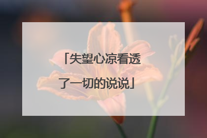 失望心凉看透了一切的说说