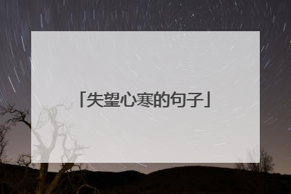 失望心寒的句子