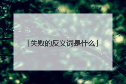 失败的反义词是什么