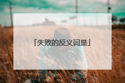 失败的反义词是