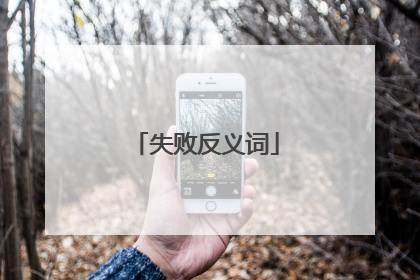 失败反义词