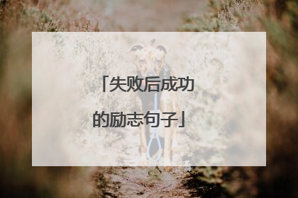 失败后成功的励志句子