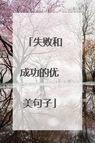 失败和成功的优美句子