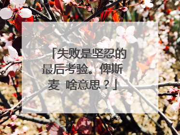 失败是坚忍的最后考验。俾斯麦 啥意思？