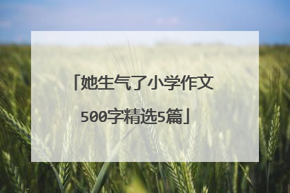 她生气了小学作文500字精选5篇