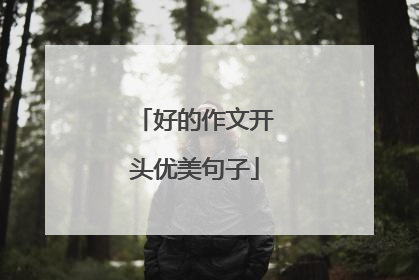 好的作文开头优美句子