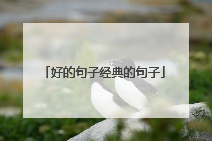 好的句子经典的句子