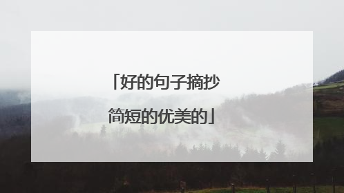 好的句子摘抄 简短的优美的