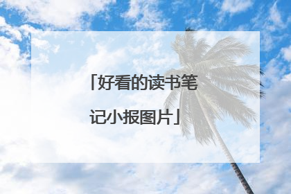 好看的读书笔记小报图片