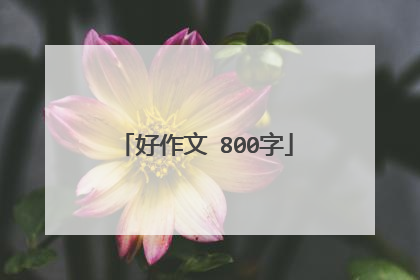 好作文 800字
