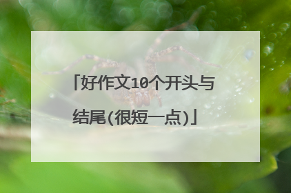 好作文10个开头与结尾(很短一点)