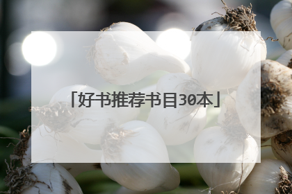 好书推荐书目30本