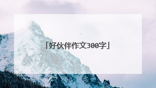 好伙伴作文300字