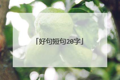 好句短句20字