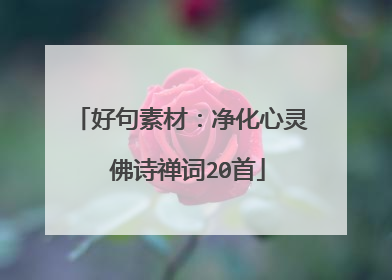 好句素材:净化心灵 佛诗禅词20首