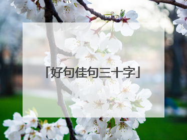 好句佳句三十字