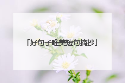 好句子唯美短句摘抄